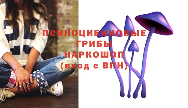 крисы Нязепетровск