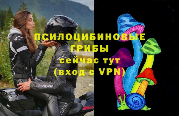 мяу мяу кристалл Няндома