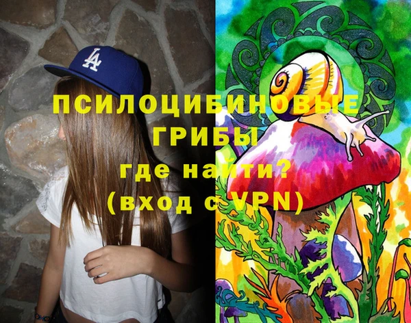 ALPHA PVP Остров