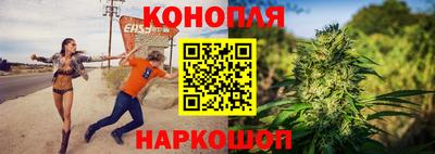 mdpv Гатчина