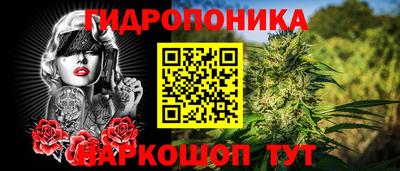 mdpv Гатчина