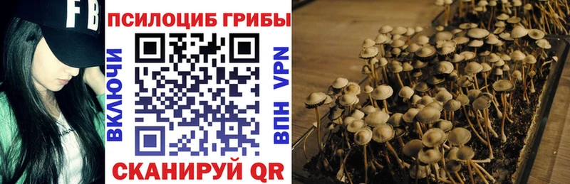 где найти   Сорочинск  Галлюциногенные грибы мухоморы 