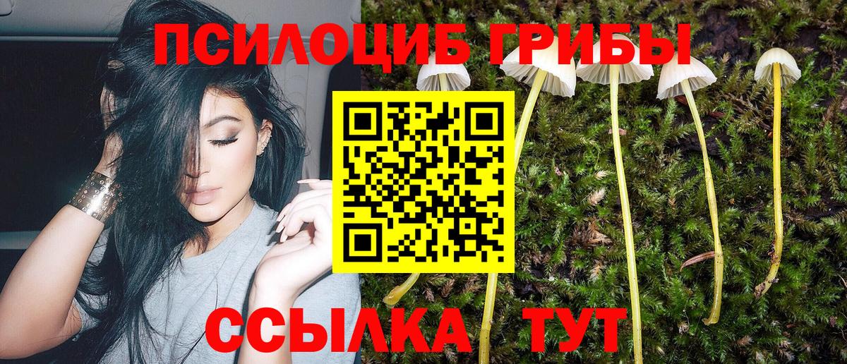 Сорочинск  Галлюциногенные грибы Psilocybine cubensis  купить наркотики сайты  Вход с VPN  Псилоцибиновые грибы GOLDEN TEACHER 